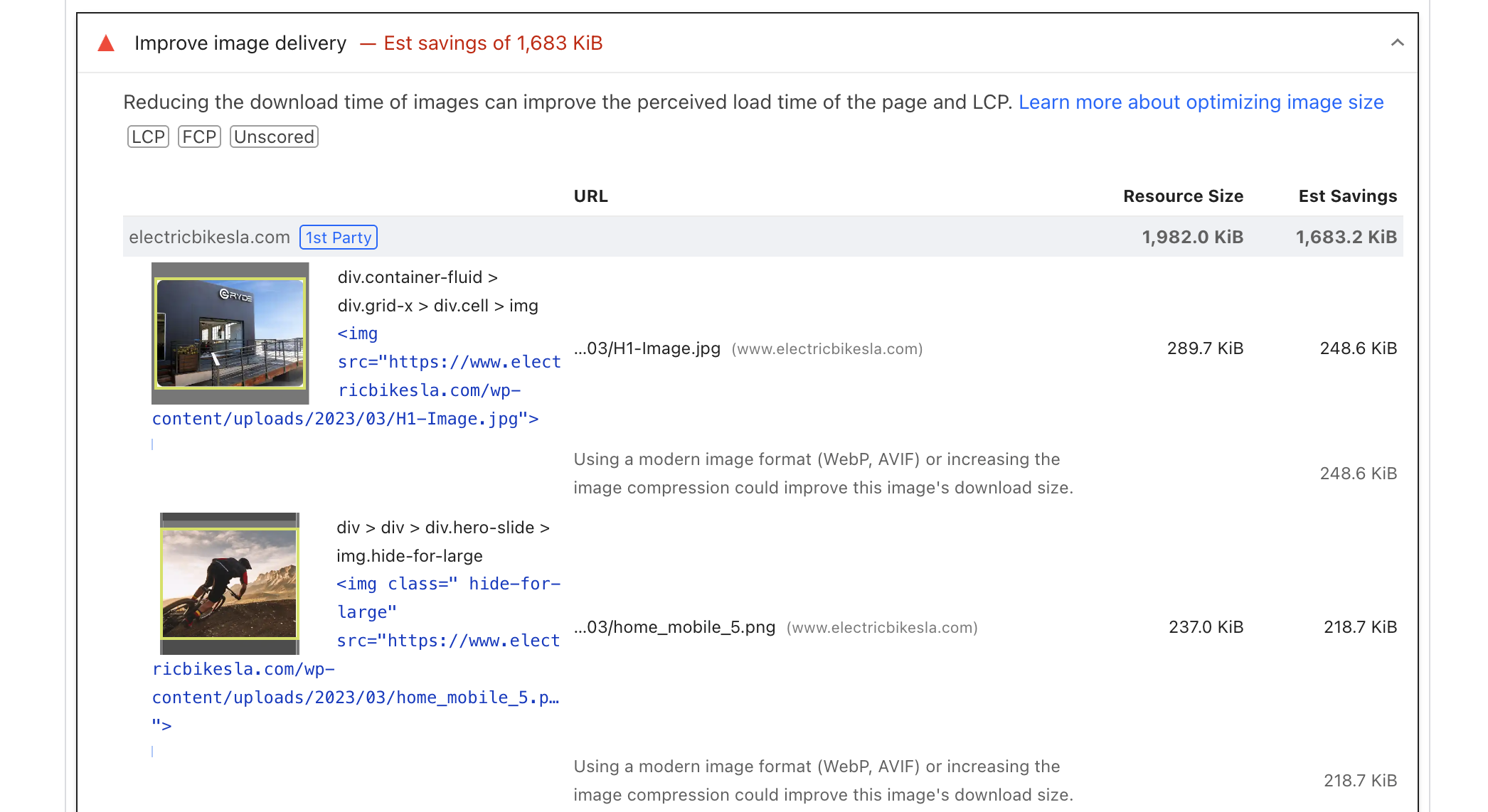 Google PageSpeed Insights report showing image-related issues